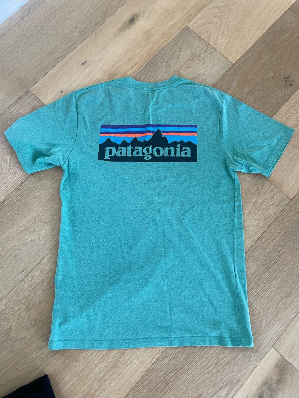 Patagonia Short-Sleeve Logo Tee with Multicolor Graphic